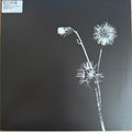 Jon Dasilva - Sun Brings Joy (VINYL) | Mint (M) Mint (M)