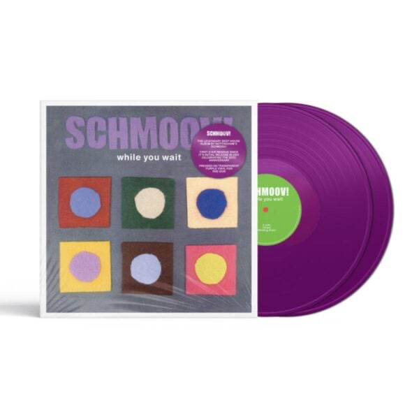 Schmoov! - (PRESALE) While You Wait LP (2xPURPLE VINYL) | Mint (M) Mint (M)