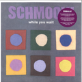 Schmoov! - (PRESALE) While You Wait LP (2xPURPLE VINYL) | Mint (M) Mint (M)