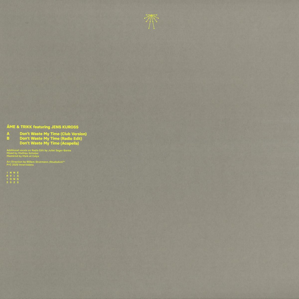 Don't Waste My Time (VINYL 12") | Mint (M) Mint (M)