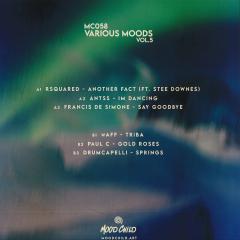 Various - Various Moods Vol. 5 (VINYL) | Mint (M) Mint (M)