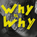 Why Why (Incl. Fred Everything remix)(VINYL) | Mint (M) Mint (M)