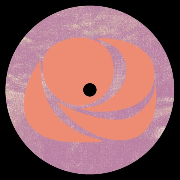 DC Salas - (PRESALE 6/11/26) Create or Combust (VINYL) | Mint (M) Mint (M)