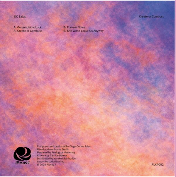DC Salas - (PRESALE 6/11/26) Create or Combust (VINYL) | Mint (M) Mint (M)