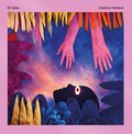DC Salas - (PRESALE 6/11/26) Create or Combust (VINYL) | Mint (M) Mint (M)
