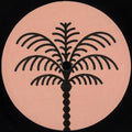 Chavi - Unreleased Data EP (VINYL) | Mint (M) Mint (M)