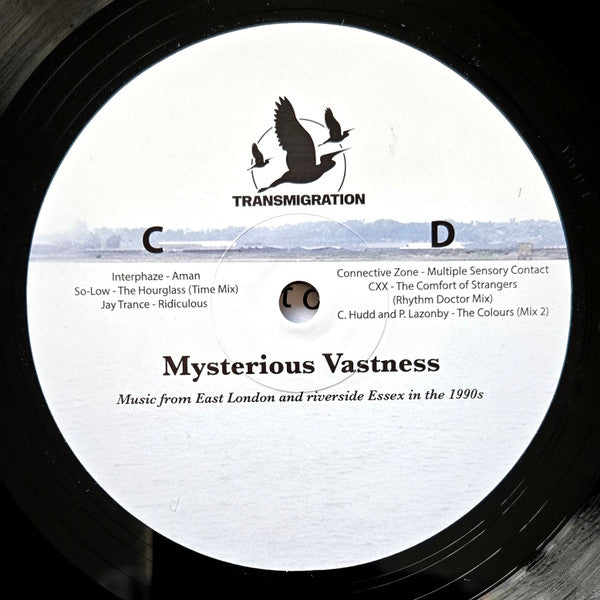 Jane Fitz - Mysterious Vastness (2xVINYL) |