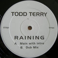 Todd Terry - Raining | Excellent (EX) Generic