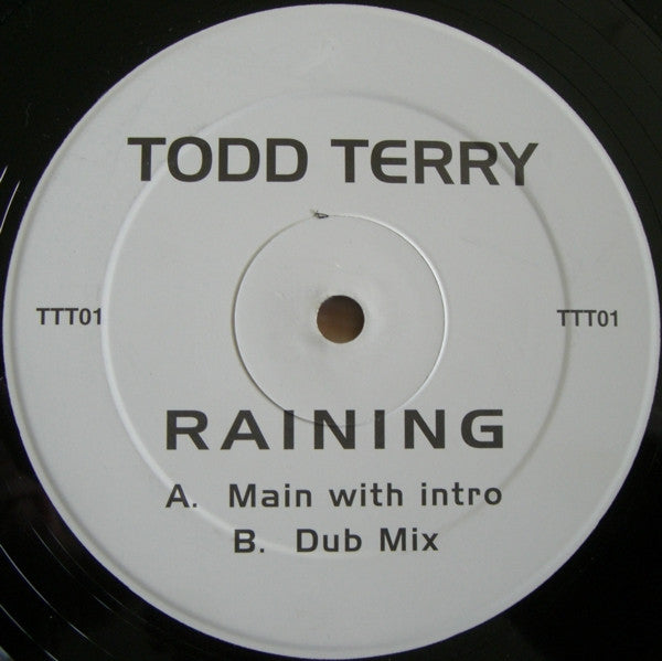 Todd Terry - Raining | Excellent (EX) Generic