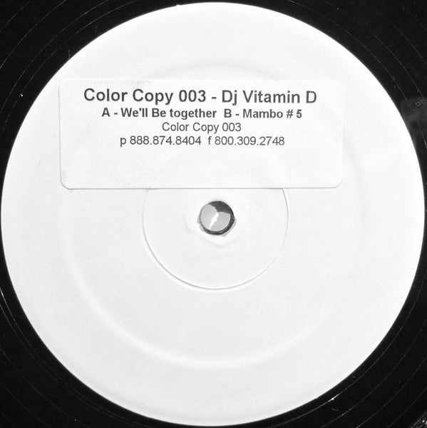 DJ Vitamin D - We'll Be Together | Near Mint (NM) Generic