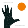 HOWARD/WIGGAN/MAPP - From Dust We Came... To Dust We Return Vinyl Record