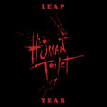 Leap Year Vinyl Record