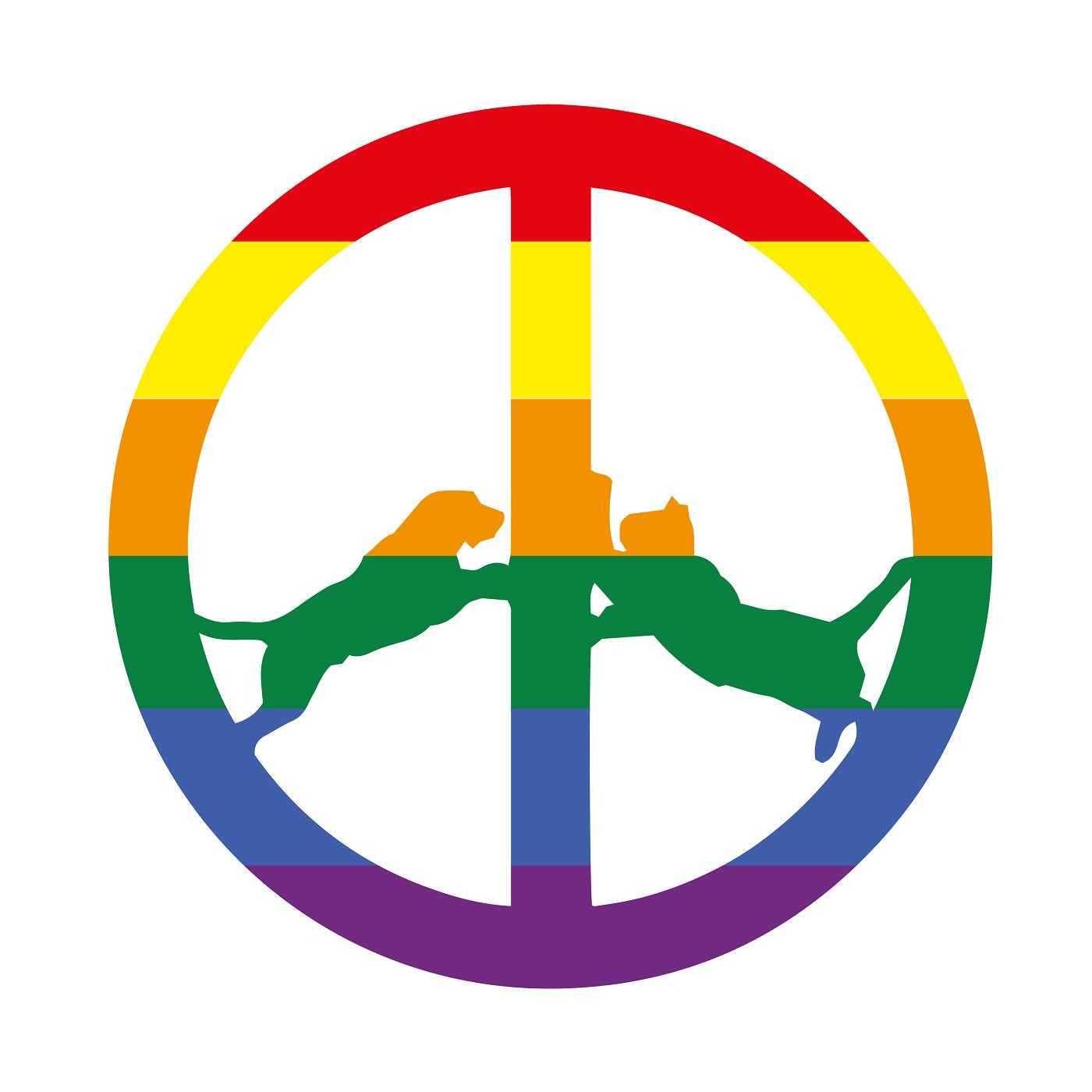 Hype Williams - Rainbow Edition Vinyl Record