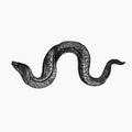Eel Music CD
