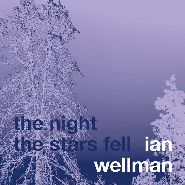 The Night The Stars Fell Music CD