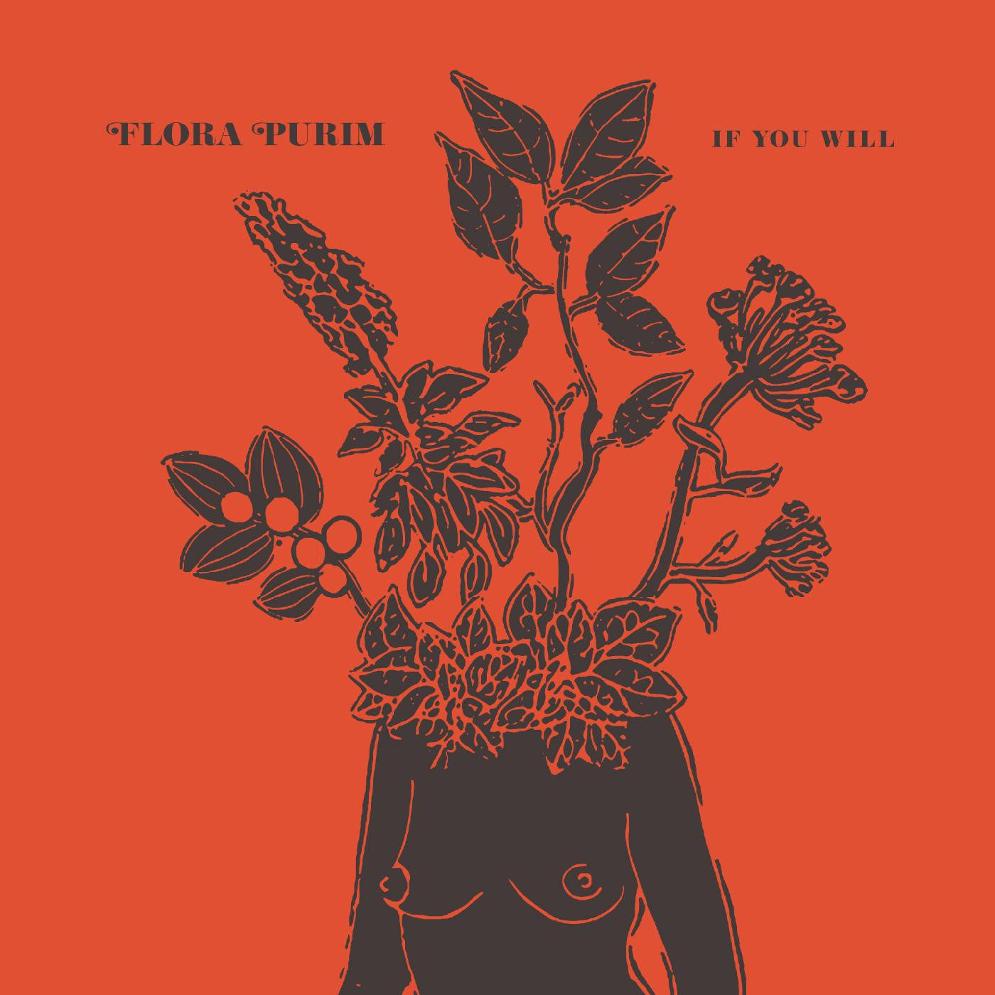 If You Will Vinyl Record