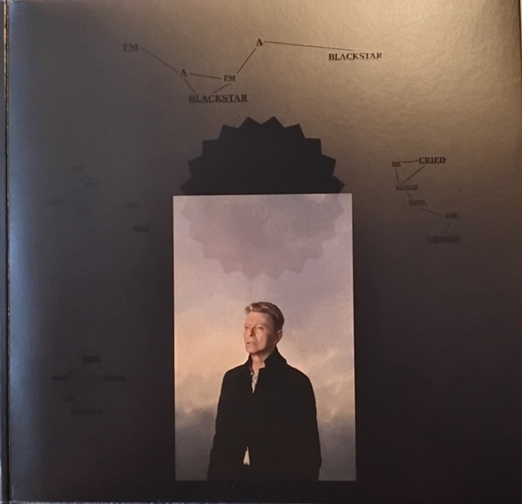 David Bowie – Can't Give Everything Away (13-LP Vinyl) Vinyl Record