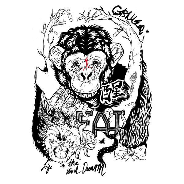 Grimes – Art Angels (LP Vinyl) Vinyl Record