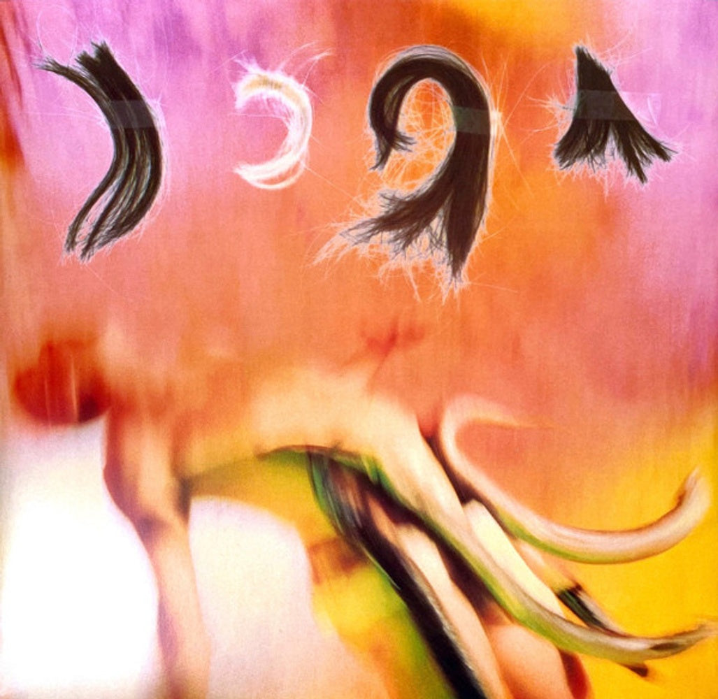 The Breeders – Pod (LP Vinyl) Vinyl Record
