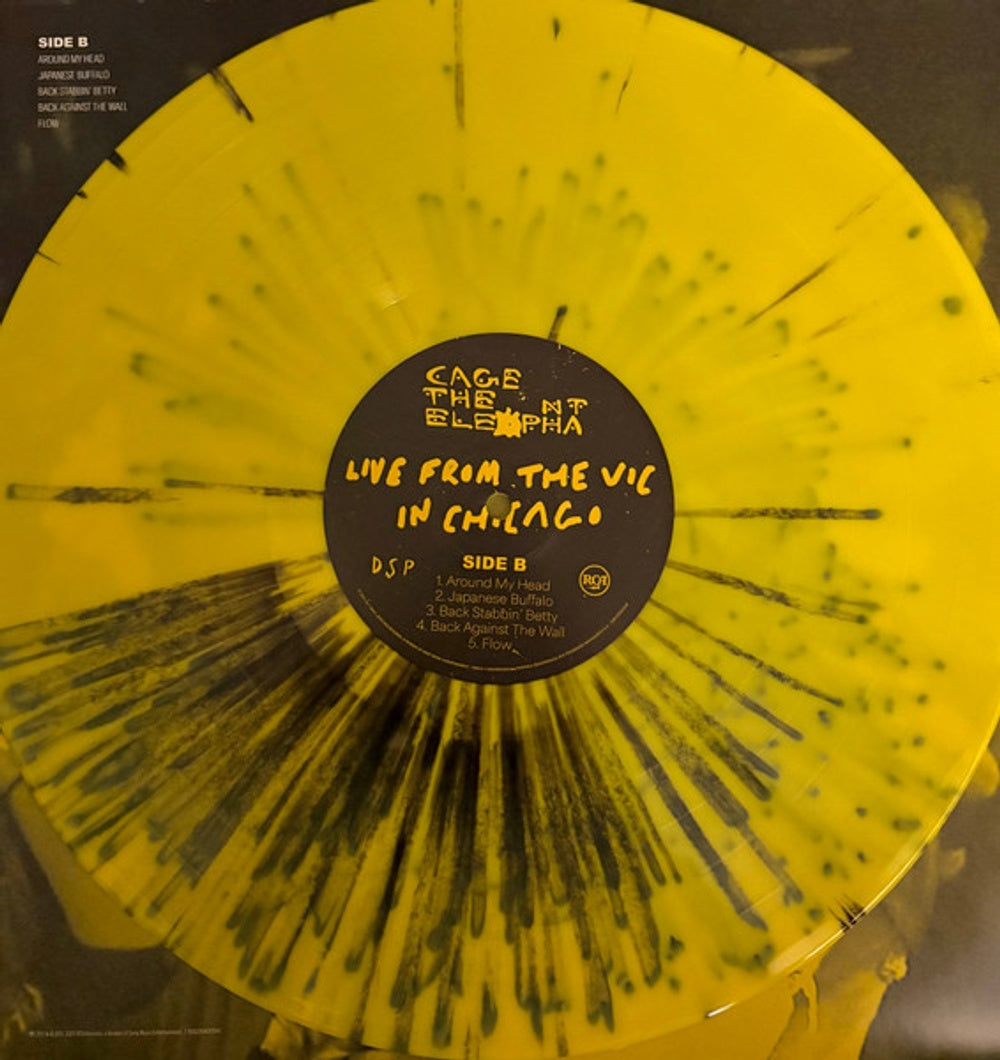 Cage The Elephant – Live From The Vic In Chicago (2-LP Vinyl) Vinyl Record