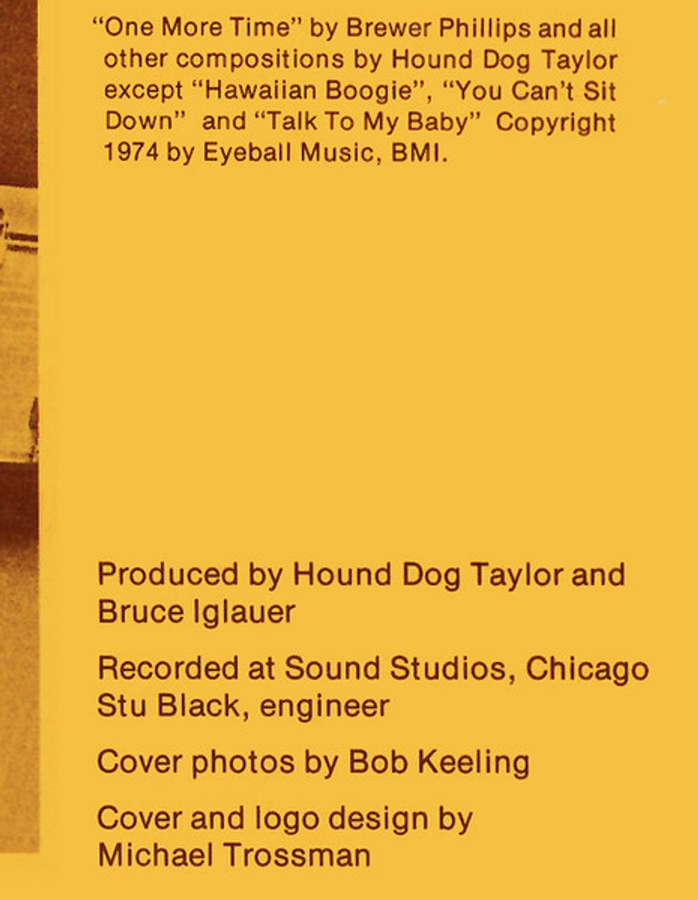 Hound Dog Taylor – Natural Boogie (LP Vinyl) Vinyl Record