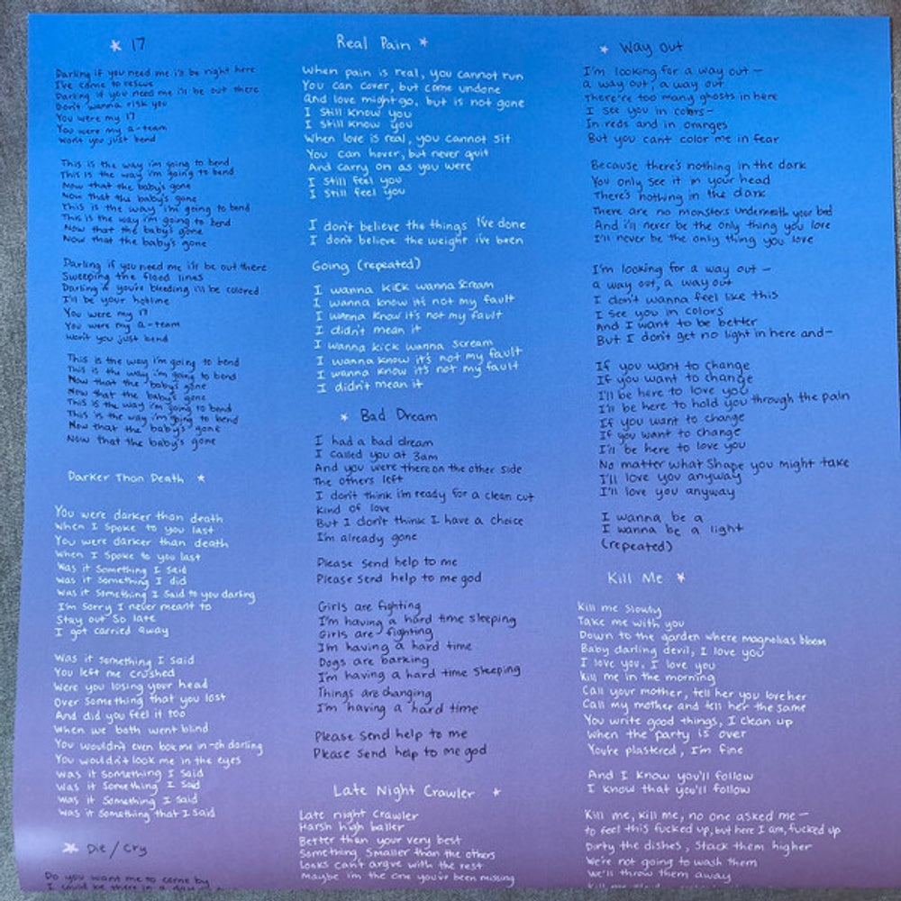 Indigo De Souza – Any Shape You Take (LP Vinyl) Vinyl Record