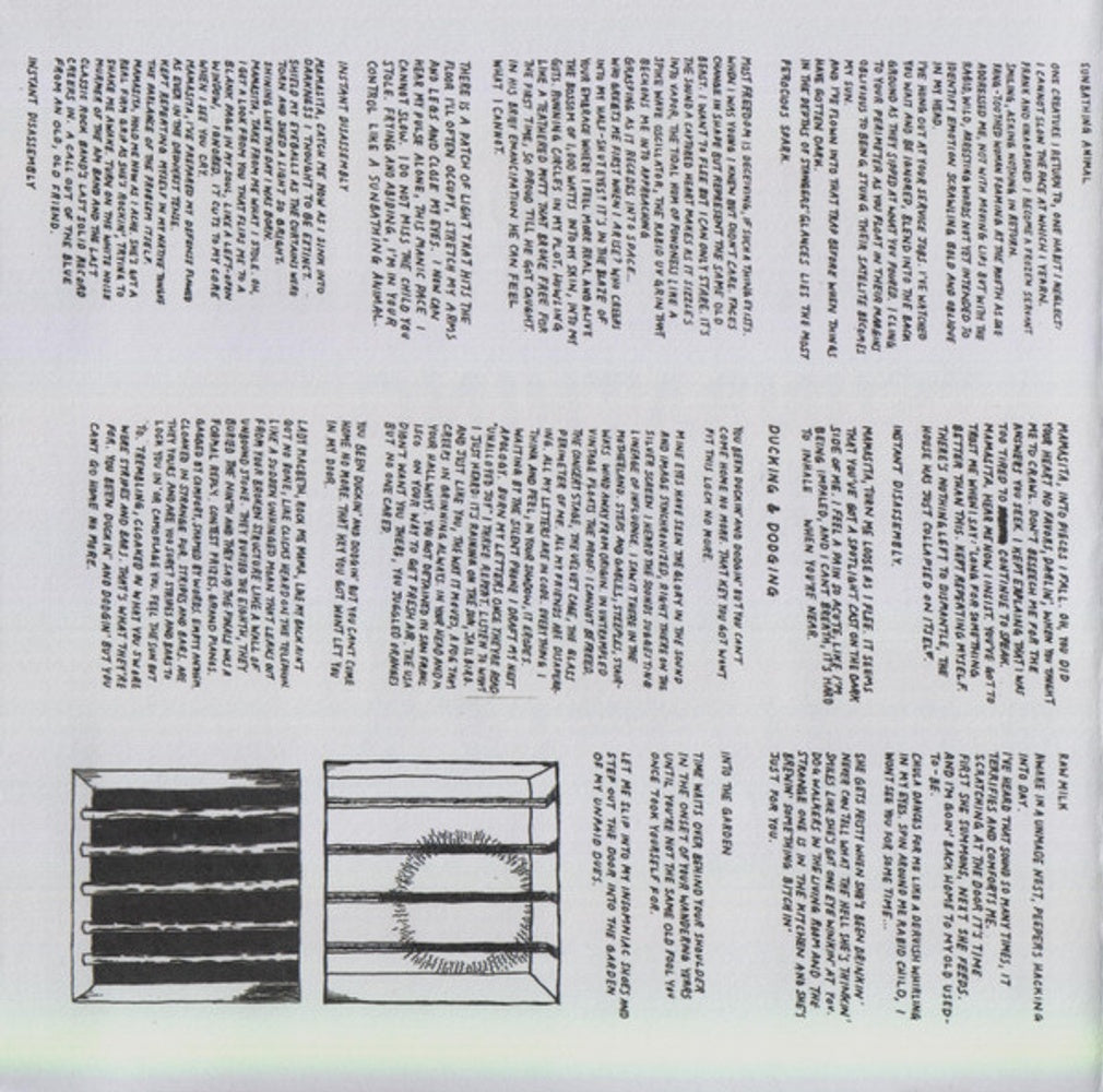 Parquet Courts – Sunbathing Animal Music CD