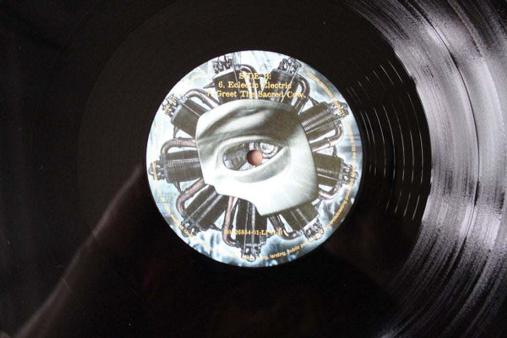 Primus – Antipop (2-LP Vinyl) Vinyl Record