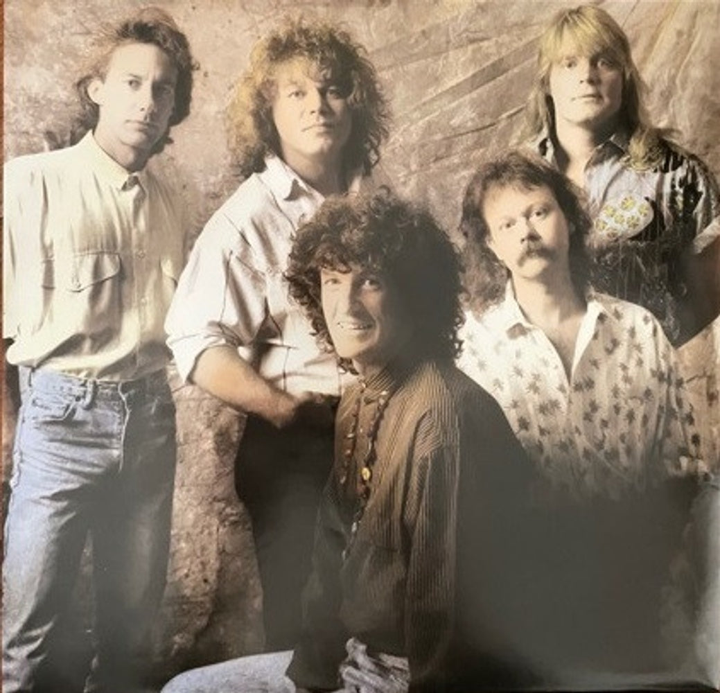 REO Speedwagon – The Hits (LP Vinyl) Vinyl Record