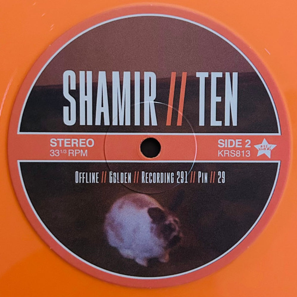 Shamir – Ten (LP Vinyl) Vinyl Record