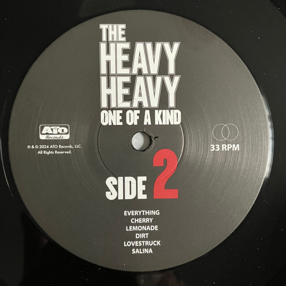 The Heavy Heavy – One Of A Kind (LP Vinyl) Vinyl Record