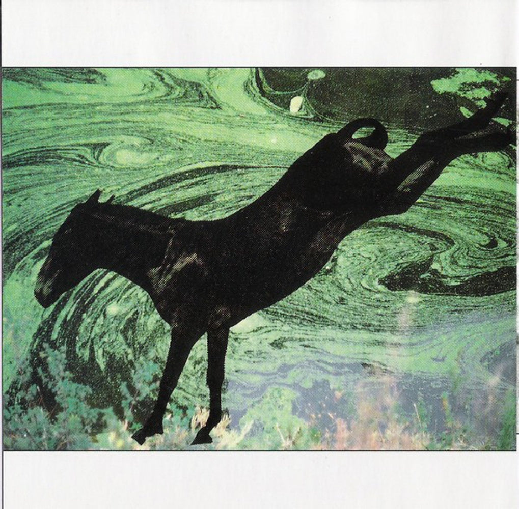 Art Of Noise – Ambient Collection Music CD