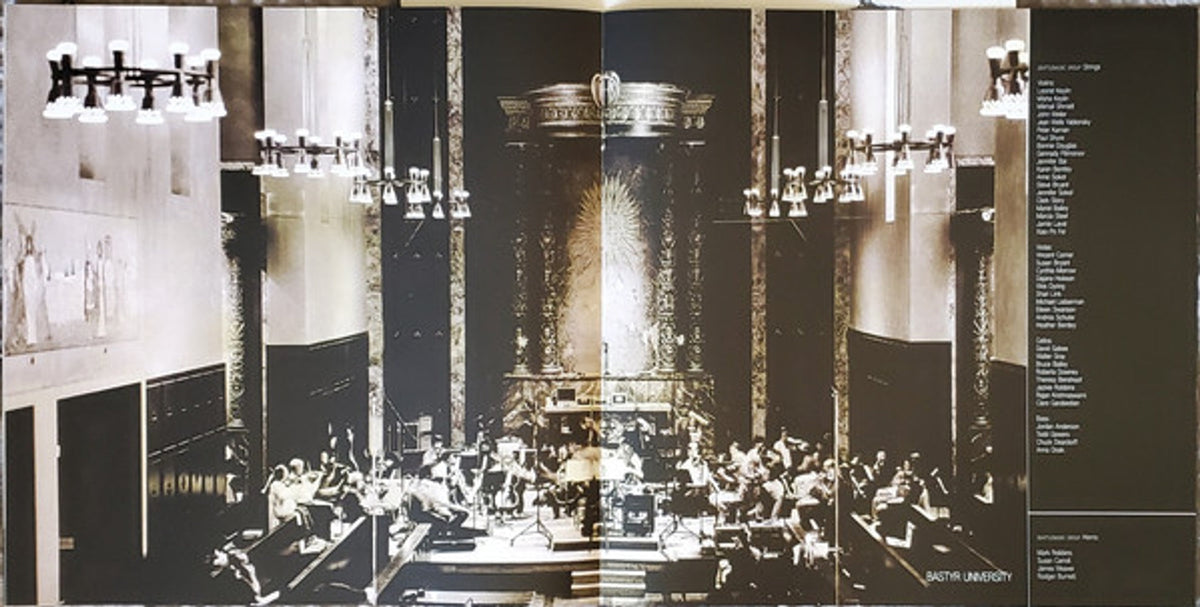 Dave Matthews – Some Devil (2-LP Vinyl) Vinyl Record