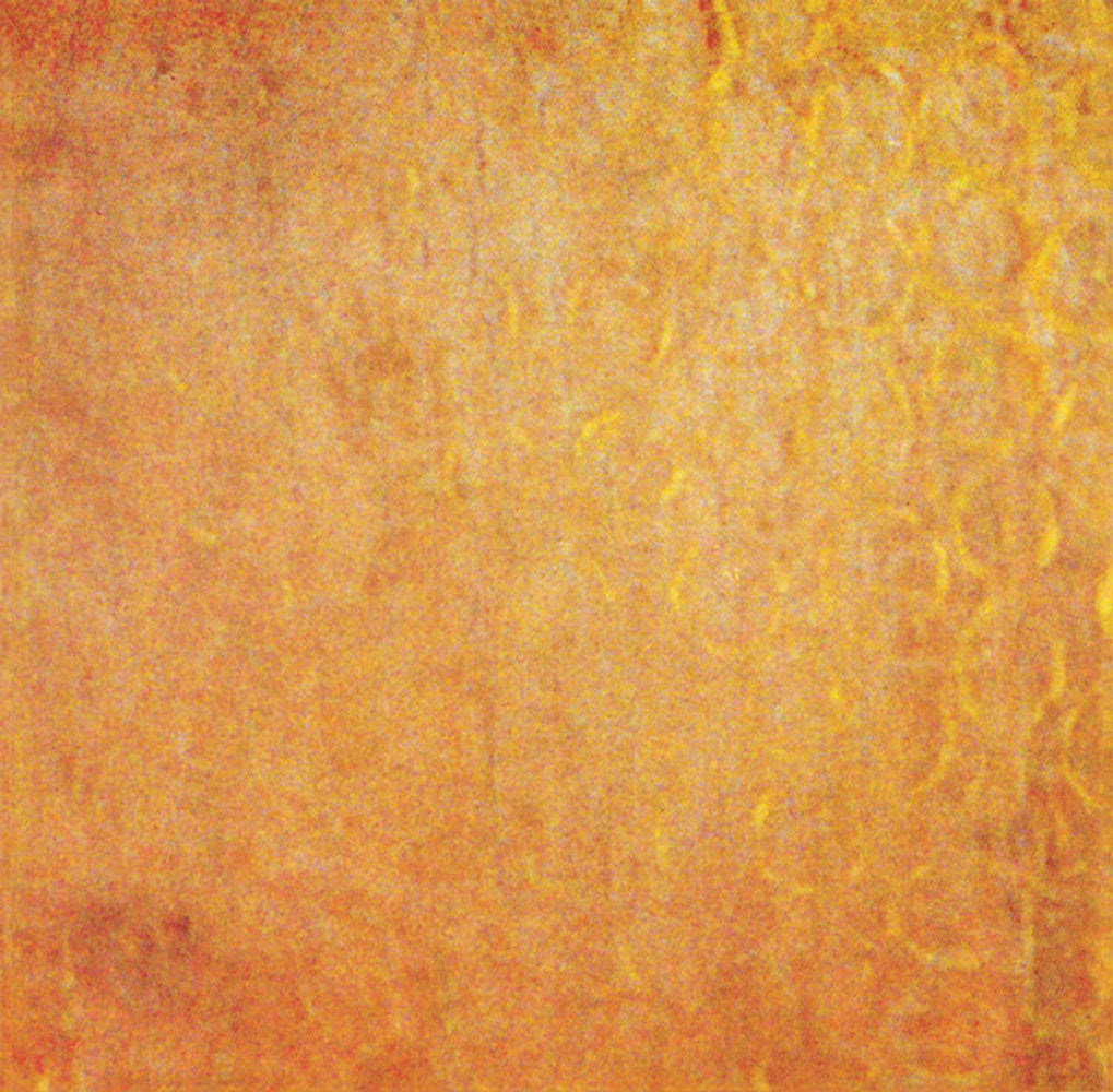 Dead Can Dance – Aion (LP Vinyl) Vinyl Record