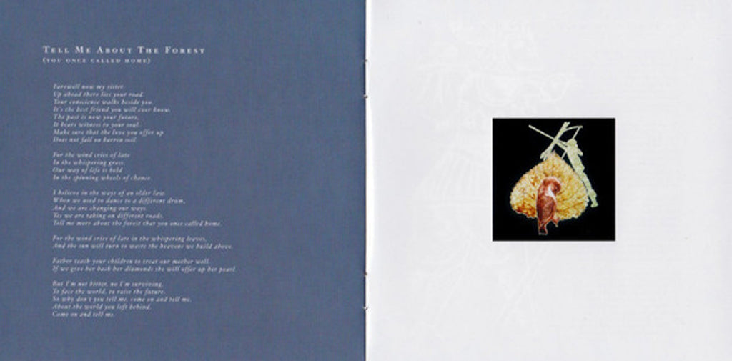 Dead Can Dance – Into The Labyrinth Music CD