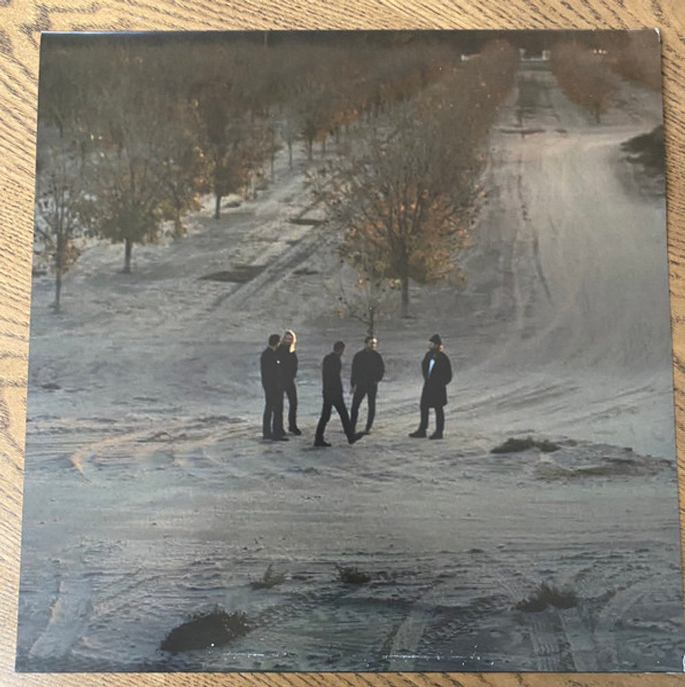 Delta Spirit – What Is There (LP Vinyl) Vinyl Record