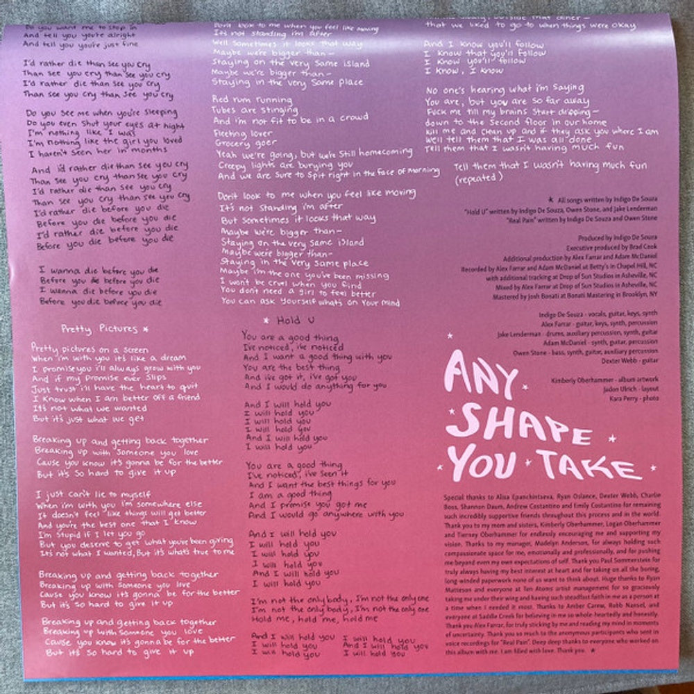 Indigo De Souza – Any Shape You Take (LP Vinyl) Vinyl Record