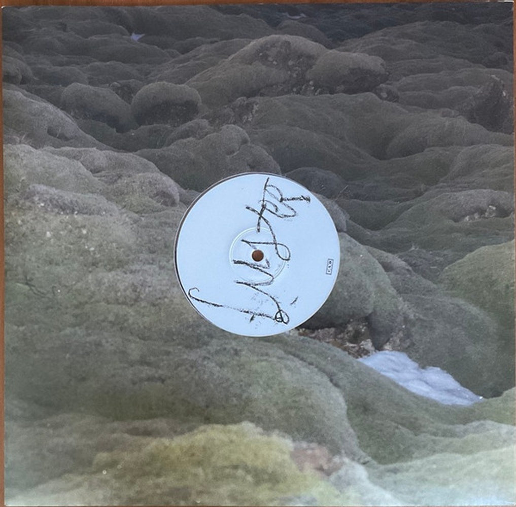 Maria Somerville – Luster (LP Vinyl) Vinyl Record