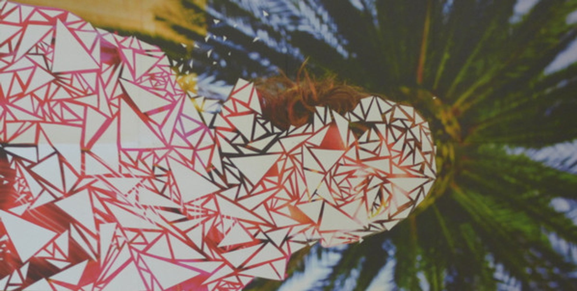 tUnE-yArDs – W H O K I L L Music CD