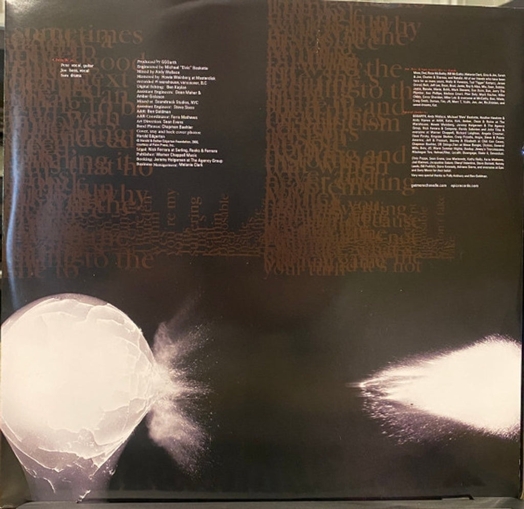 Chevelle – Wonder What's Next (LP Vinyl) Vinyl Record