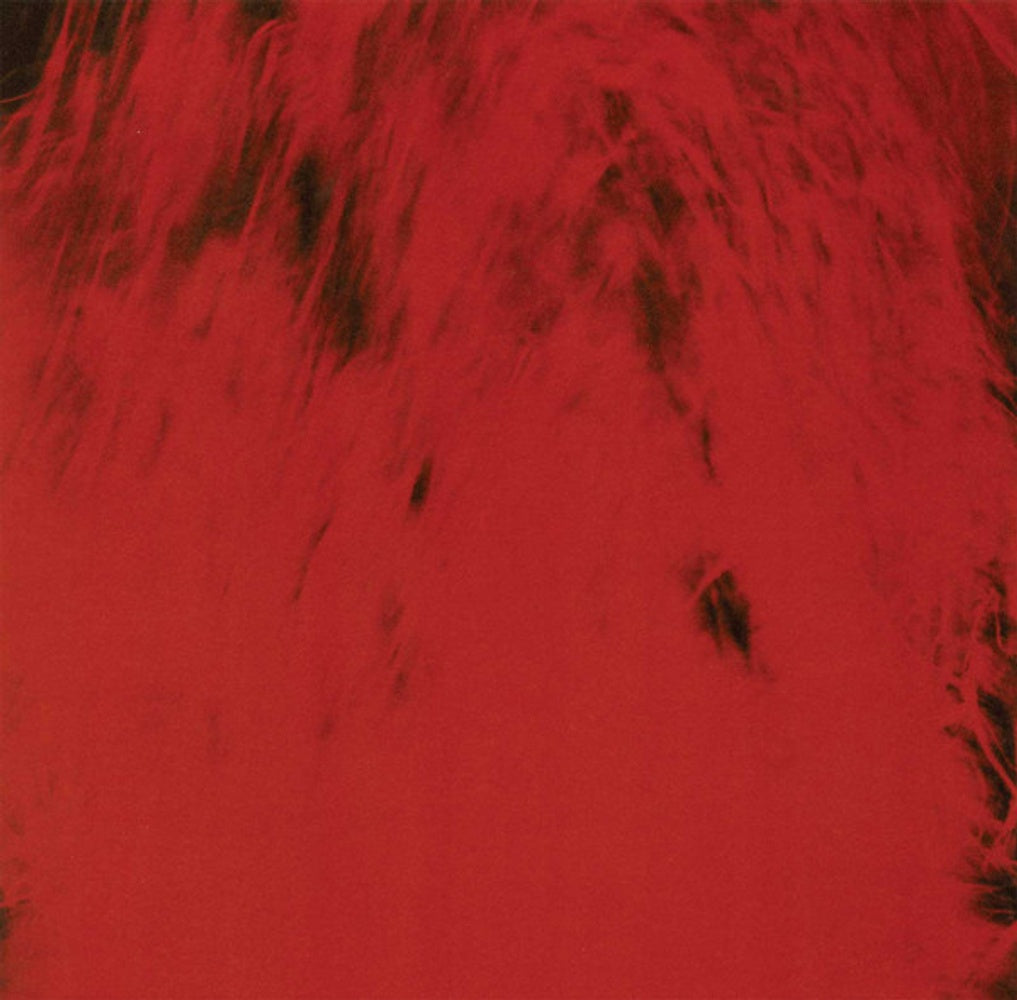 Dead Can Dance – Spiritchaser (2-LP Vinyl) Vinyl Record