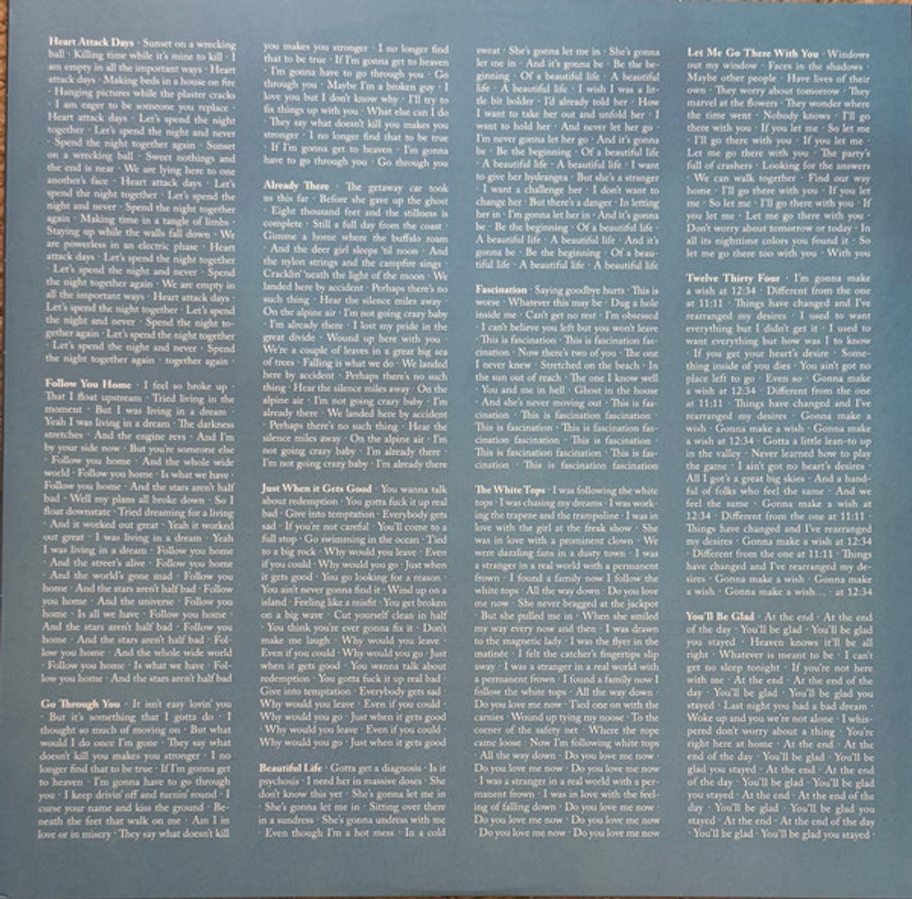 Rhett Miller – The Misfit (LP Vinyl) Vinyl Record