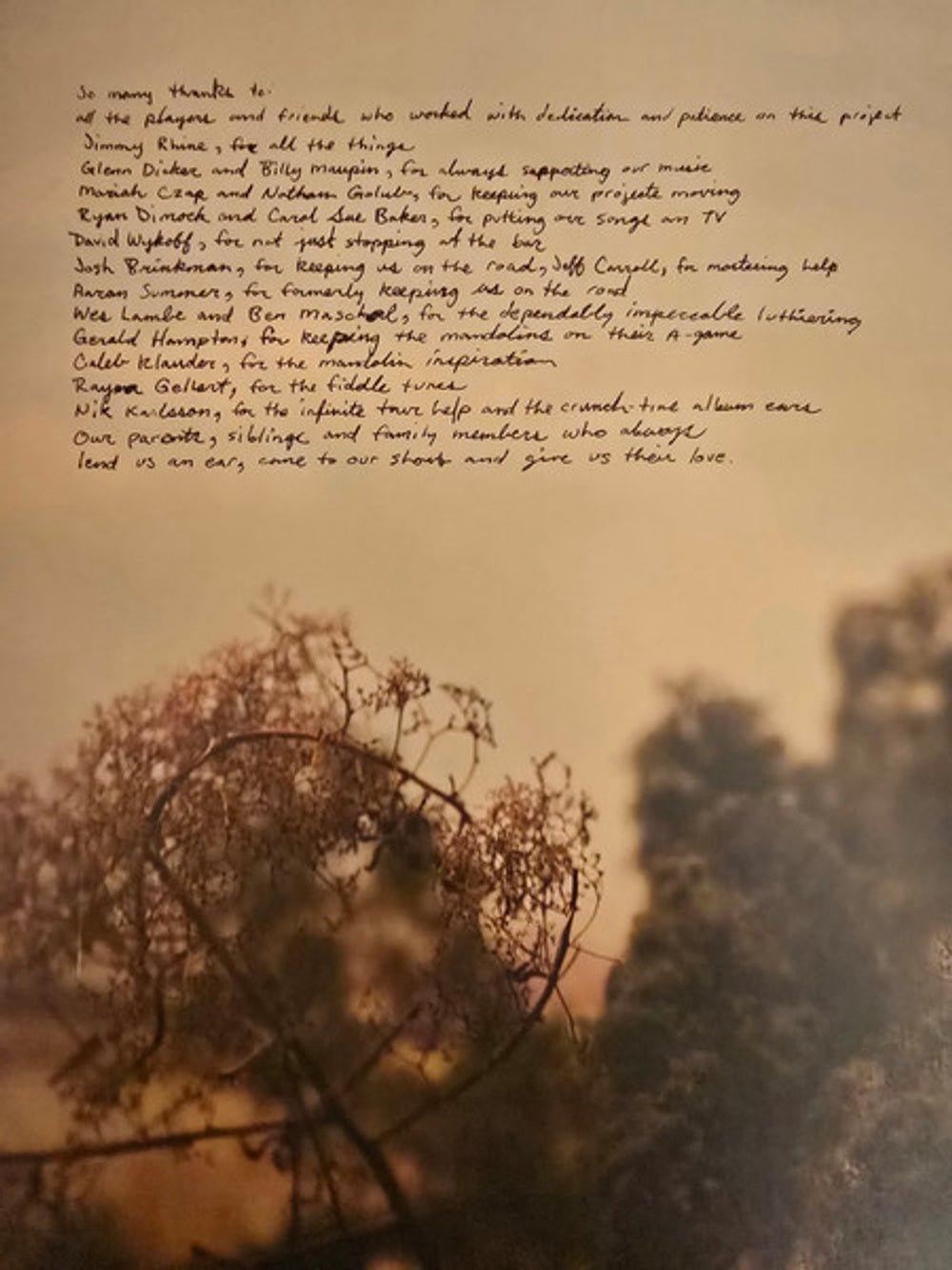 Watchhouse – Blindfaller (LP Vinyl) Vinyl Record
