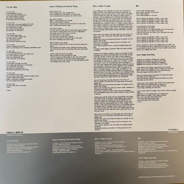 Cameron Winter – Heavy Metal (LP Vinyl) Vinyl Record