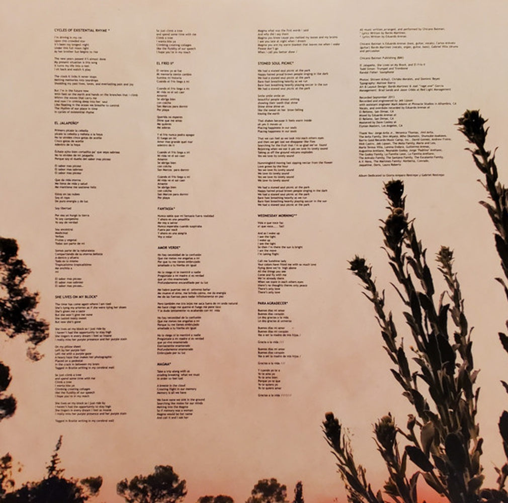 Chicano Batman – Cycles Of Existential Rhyme (LP Vinyl) Vinyl Record