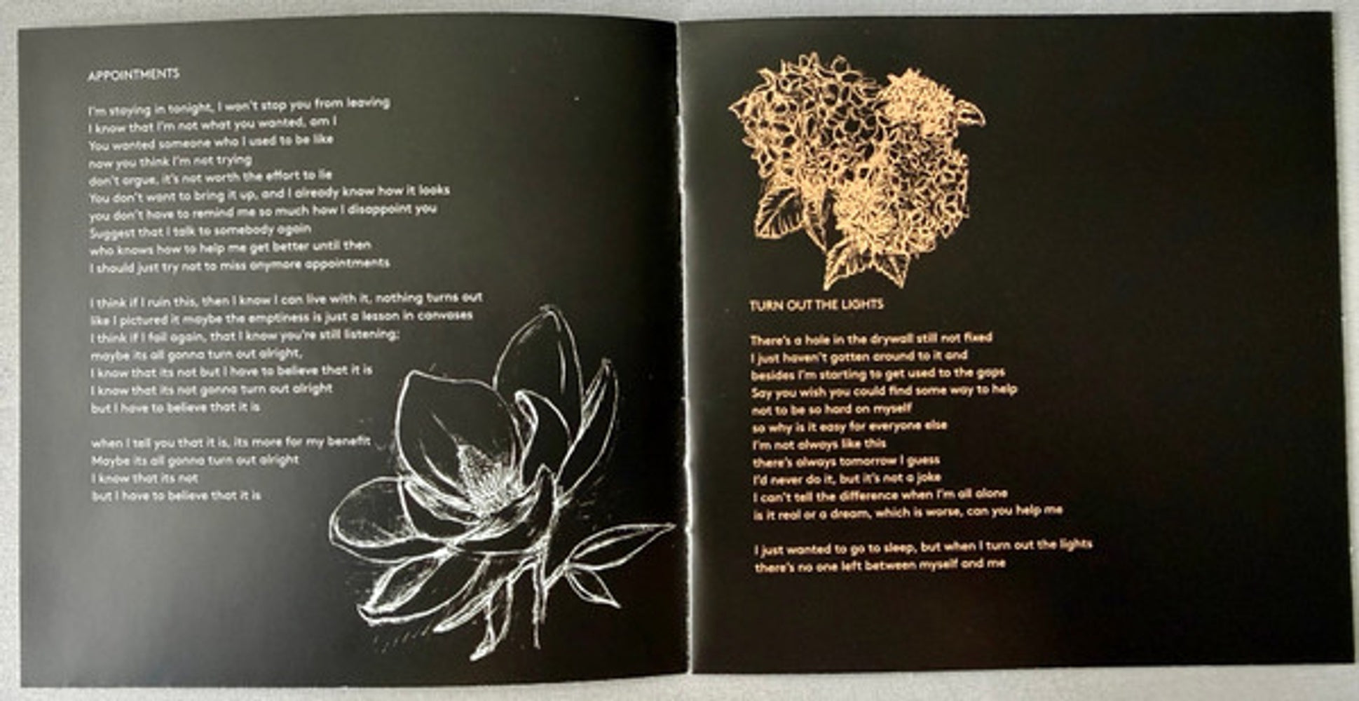 Julien Baker – Turn Out The Lights Music CD