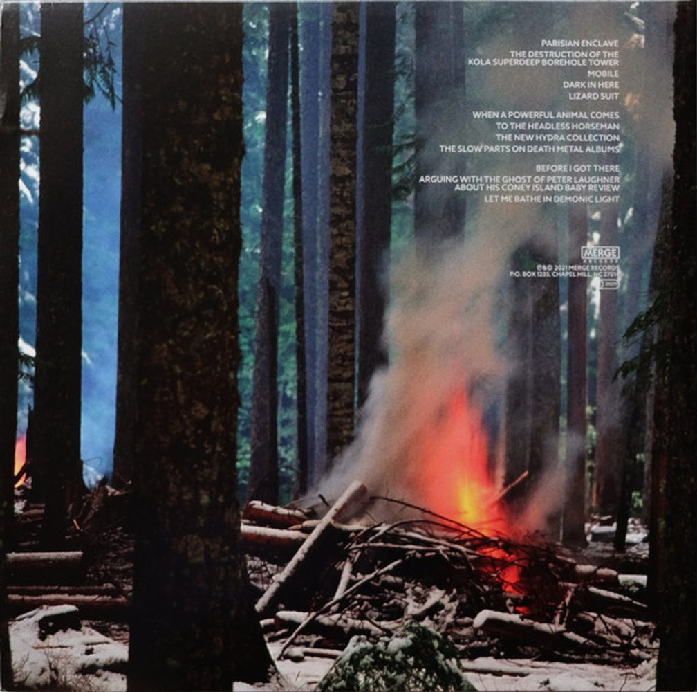 The Mountain Goats – Dark In Here (2-LP Vinyl) Vinyl Record