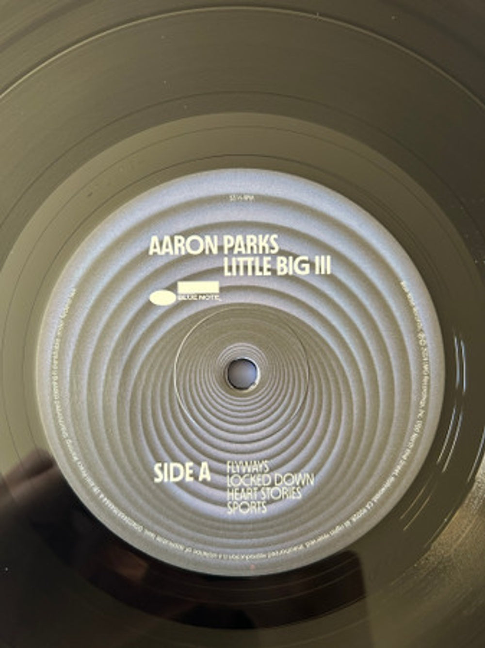 Aaron Parks – Little Big III (LP Vinyl) Vinyl Record