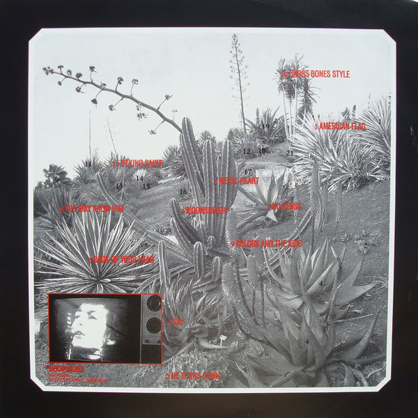 Cat Power – Moon Pix (LP Vinyl) Vinyl Record