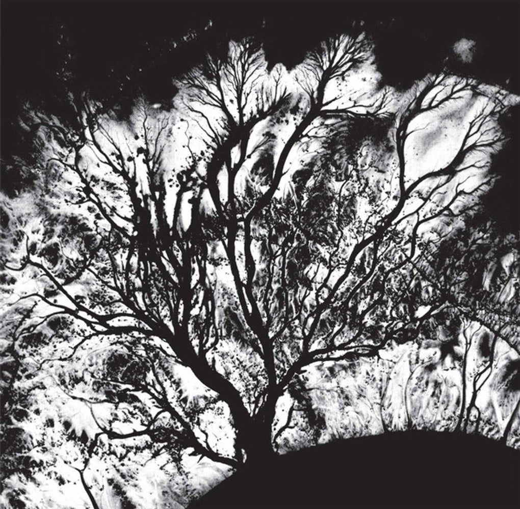 Dead Can Dance – The Serpent's Egg (LP Vinyl) Vinyl Record